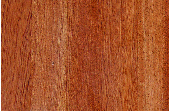MASİF PANEL